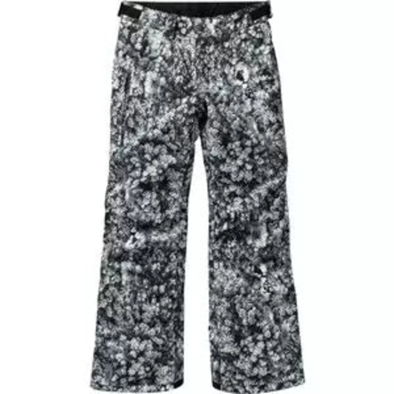 Burton Barnstorm Pant