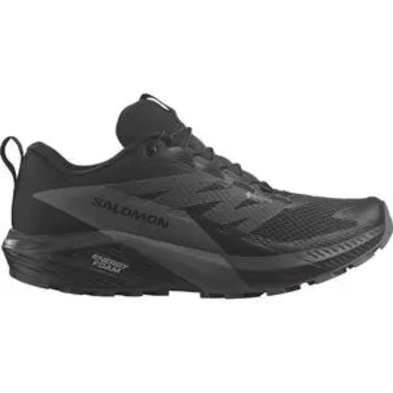 Salomon Sense Ride 5 GTX Trail Running Shoe